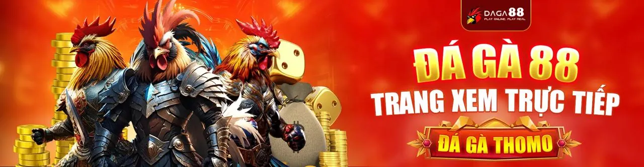 Sàn đá gà trực tiếp sôi động tại Win98 với khán đài chật kín