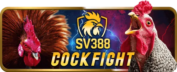 Bước 4 đăng nhập và bắt đầu trải nghiệm Win98